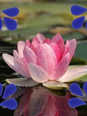 Azulejo personalizado 18.jpg