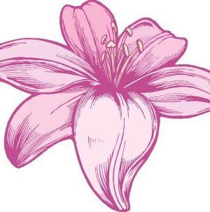 Silueta ornamental143.jpg