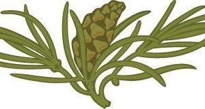 Silueta ornamental186.jpg