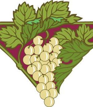 Silueta ornamental212.jpg